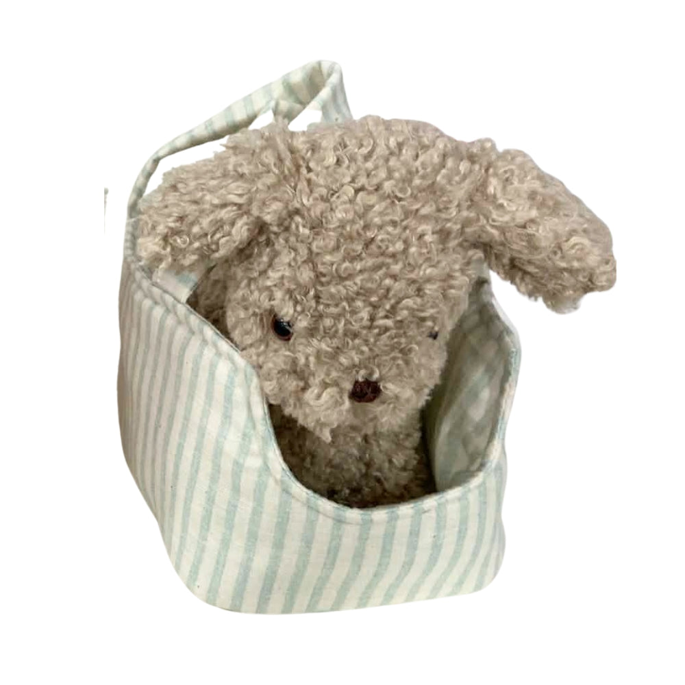 Puppy in Carrier 'Biscuit' - JUNE