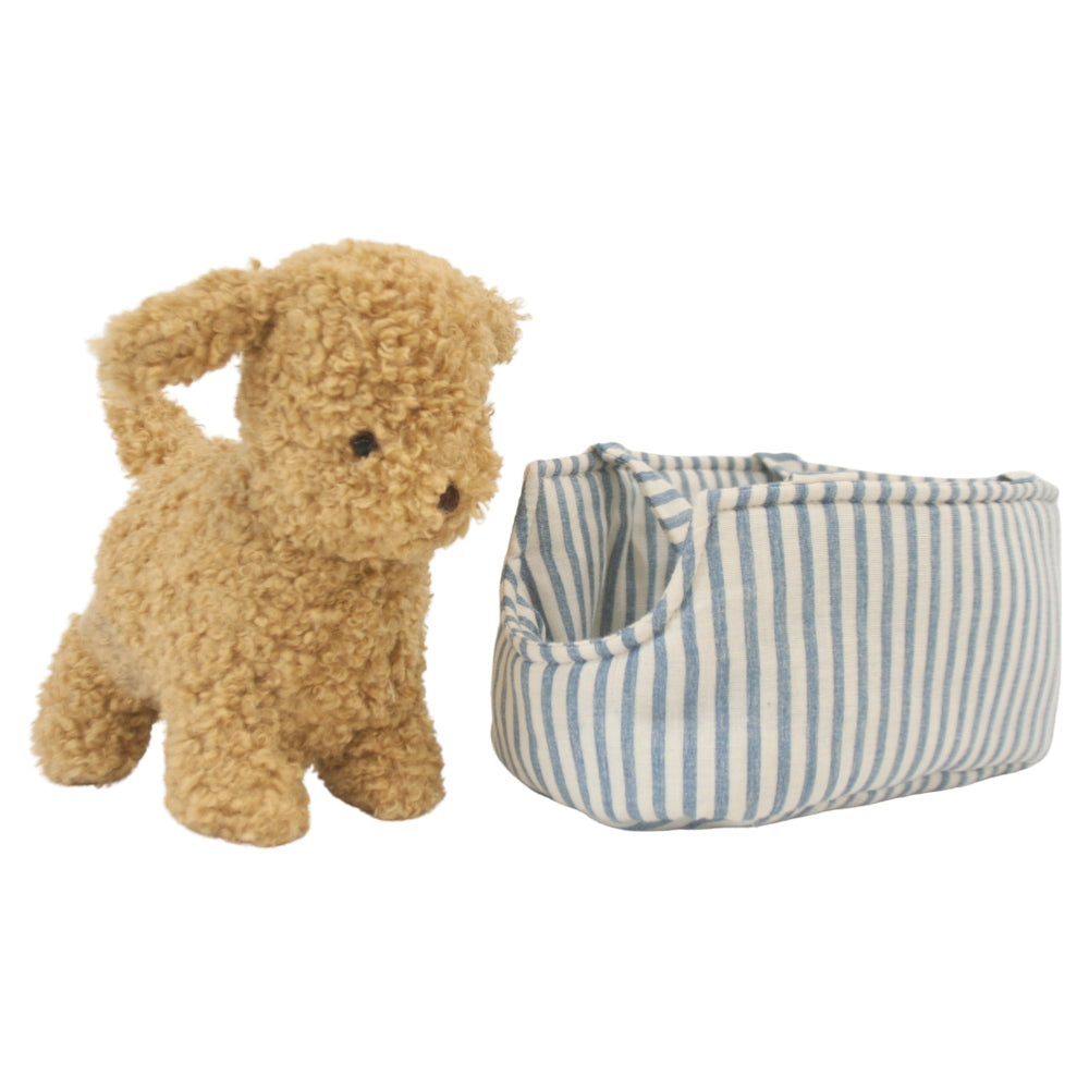 Puppy in Carrier 'Toffee' - JUNE