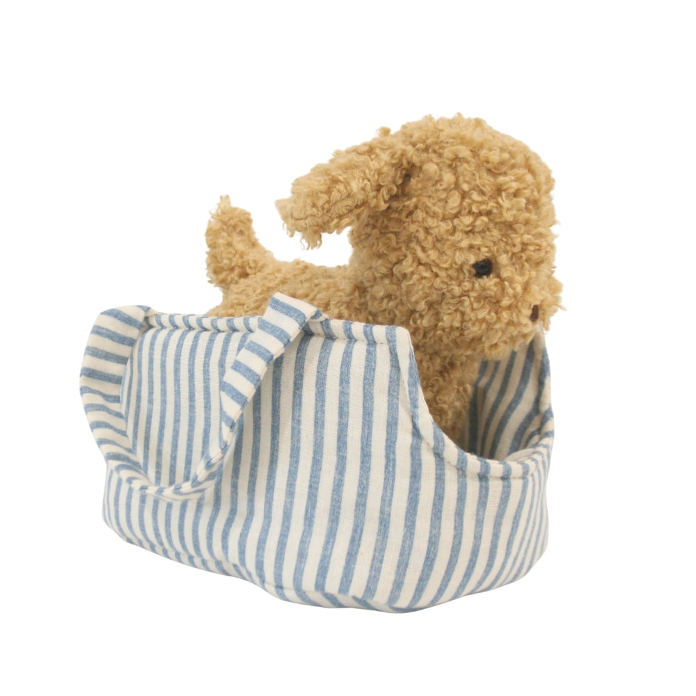 Puppy in Carrier 'Toffee' - JUNE