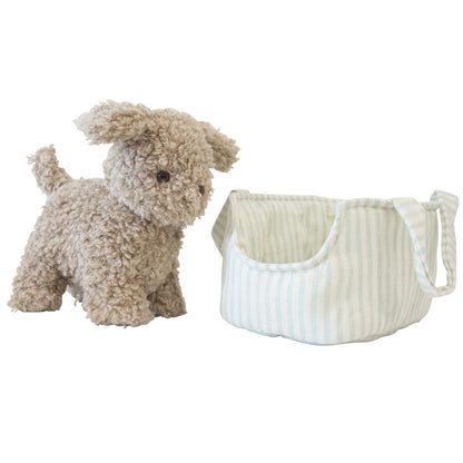 Puppy in Carrier 'Biscuit' - JUNE