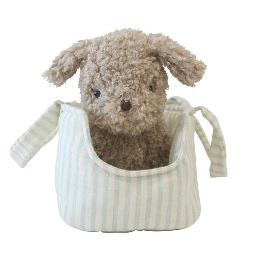 Puppy in Carrier 'Biscuit' - JUNE