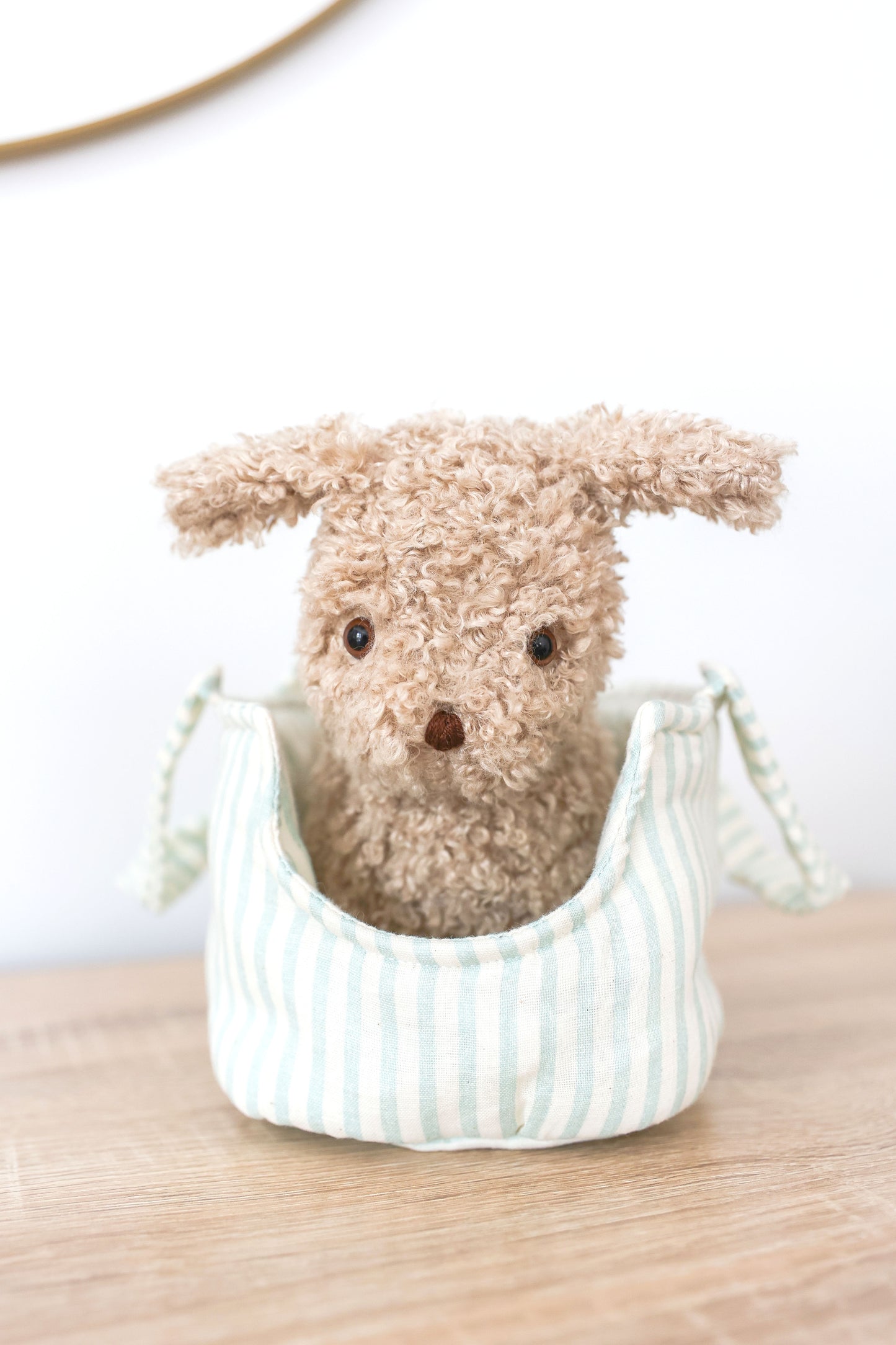 Puppy in Carrier 'Biscuit' - JUNE