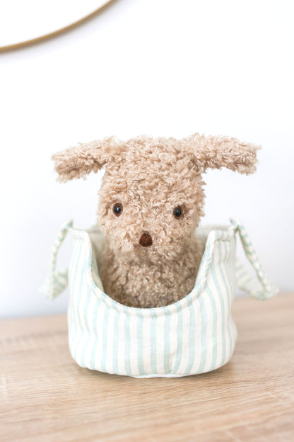 Puppy in Carrier 'Biscuit' - JUNE