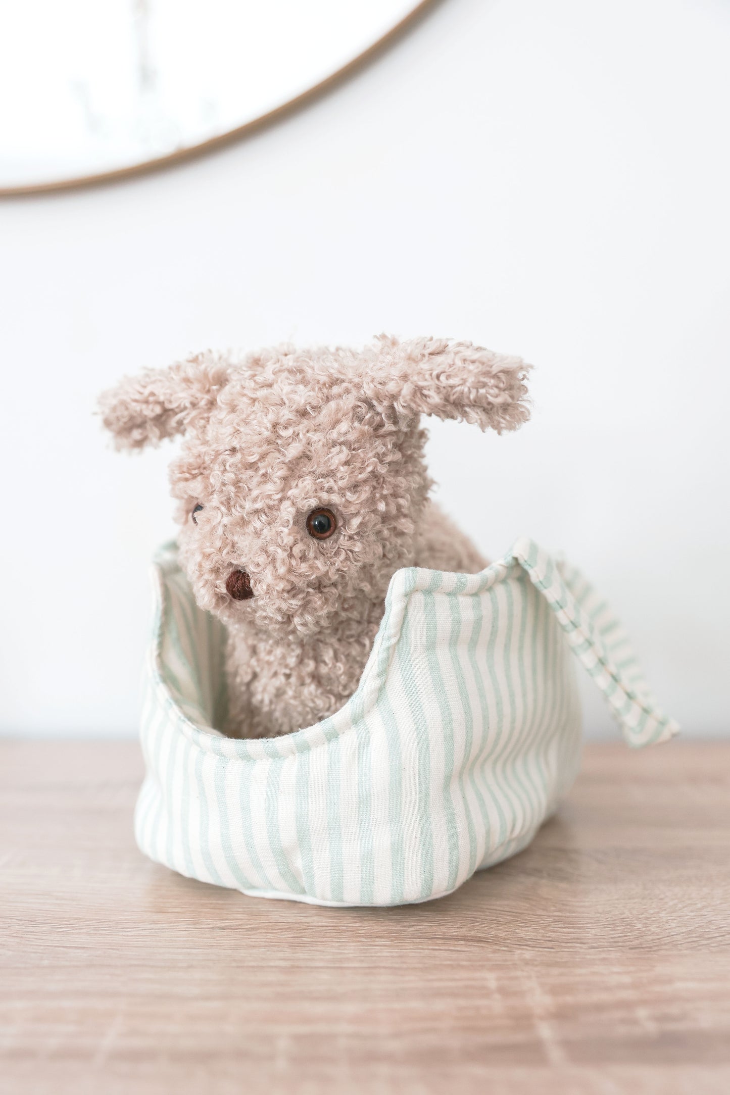 Puppy in Carrier 'Biscuit' - JUNE