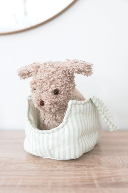 Puppy in Carrier 'Biscuit' - JUNE