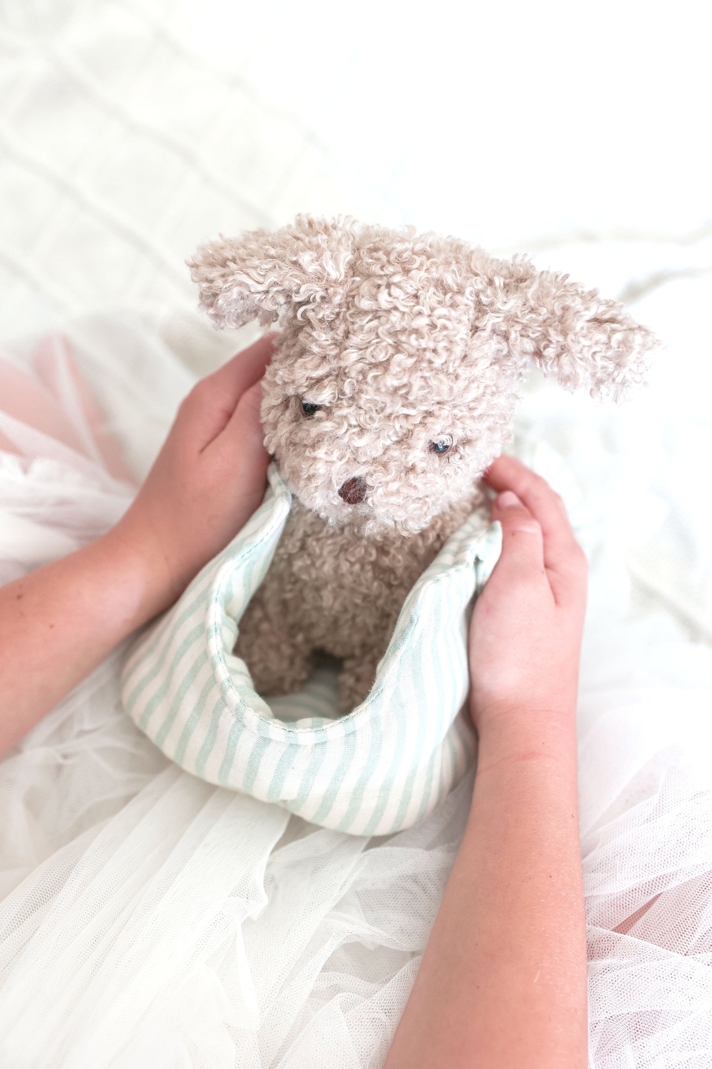 Puppy in Carrier 'Biscuit' - JUNE