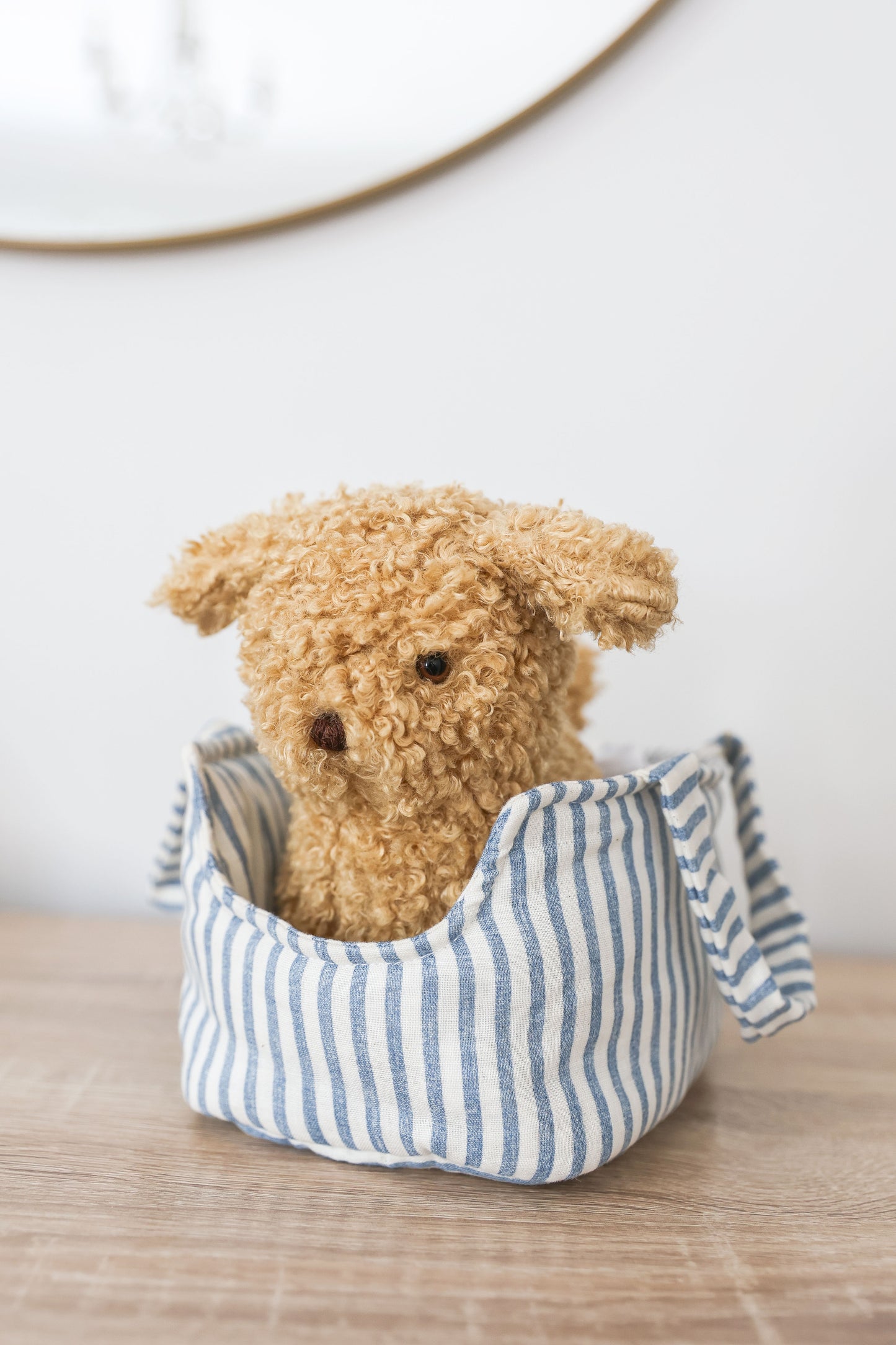 Puppy in Carrier 'Toffee' - JUNE