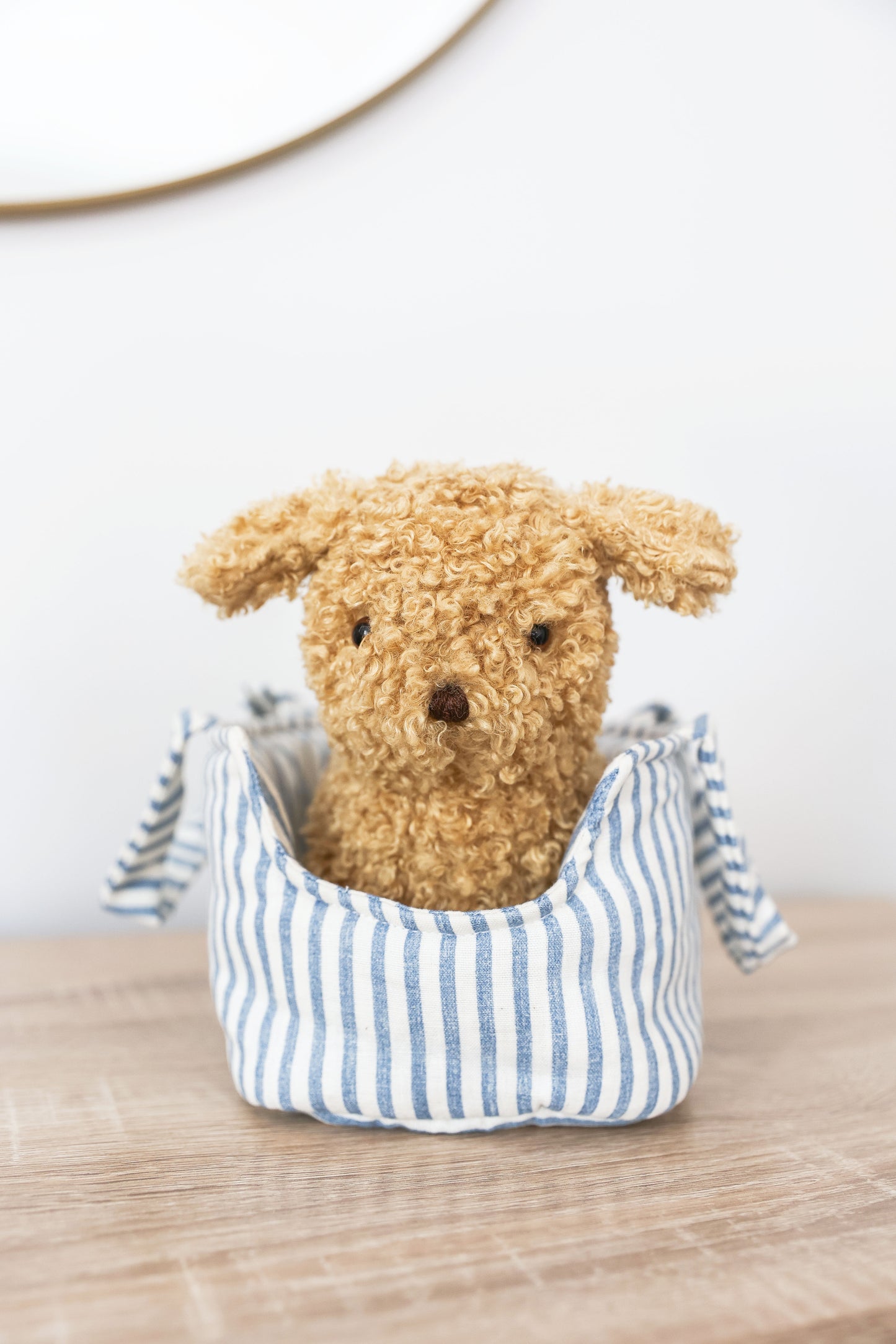 Puppy in Carrier 'Toffee' - JUNE