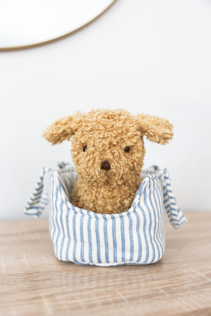 Puppy in Carrier 'Toffee' - JUNE